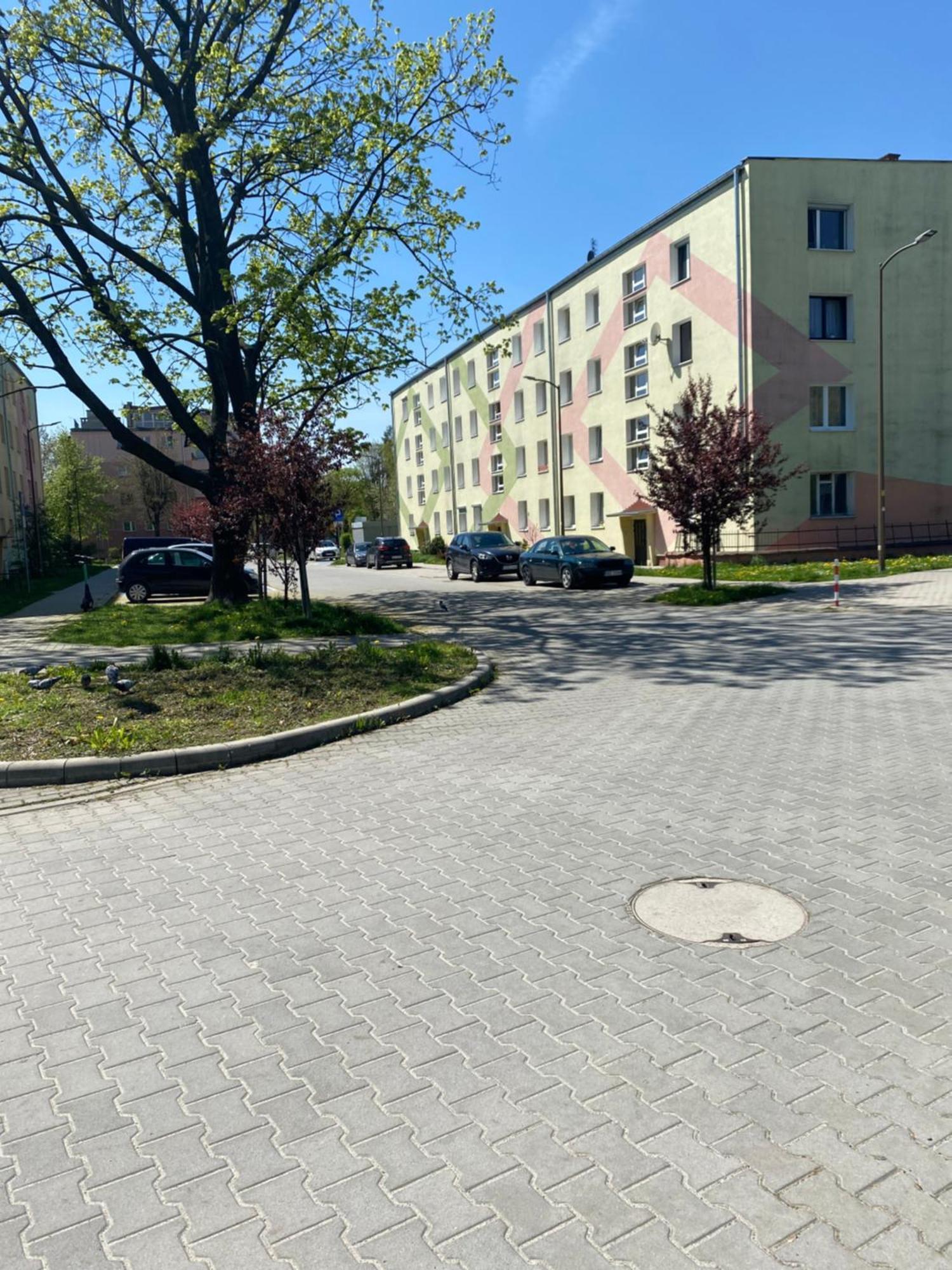 Nowoczesny Apartament w Dzierżoniowie - parter - balkon - pokój + sypialnia Zewnętrze zdjęcie